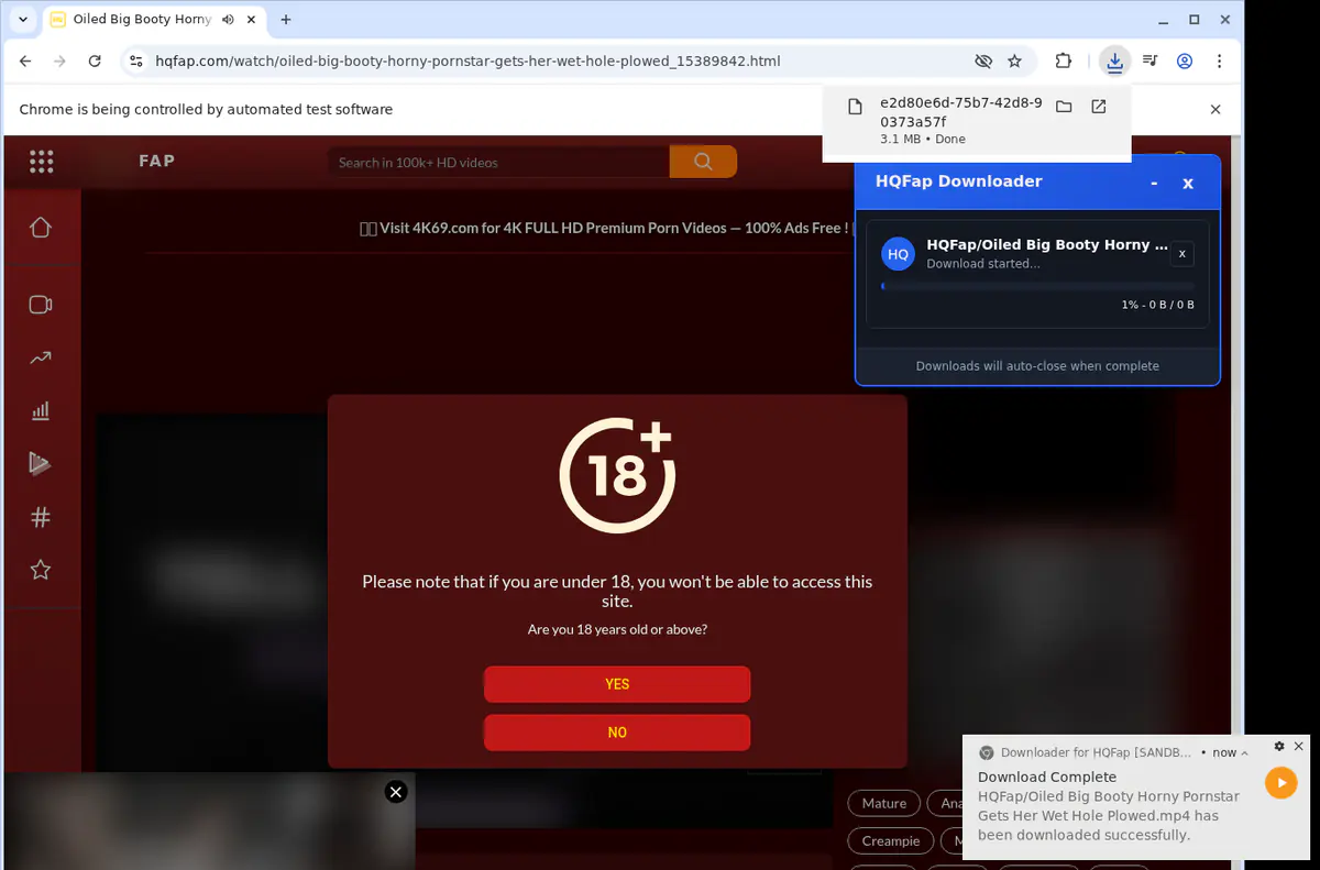 Hqfap Video Downloader screenshot 2