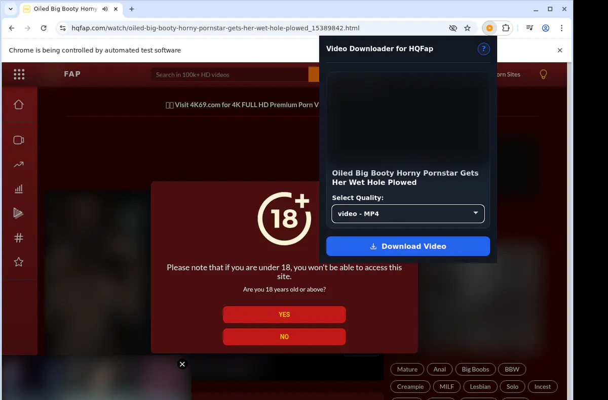 Hqfap Video Downloader screenshot 3